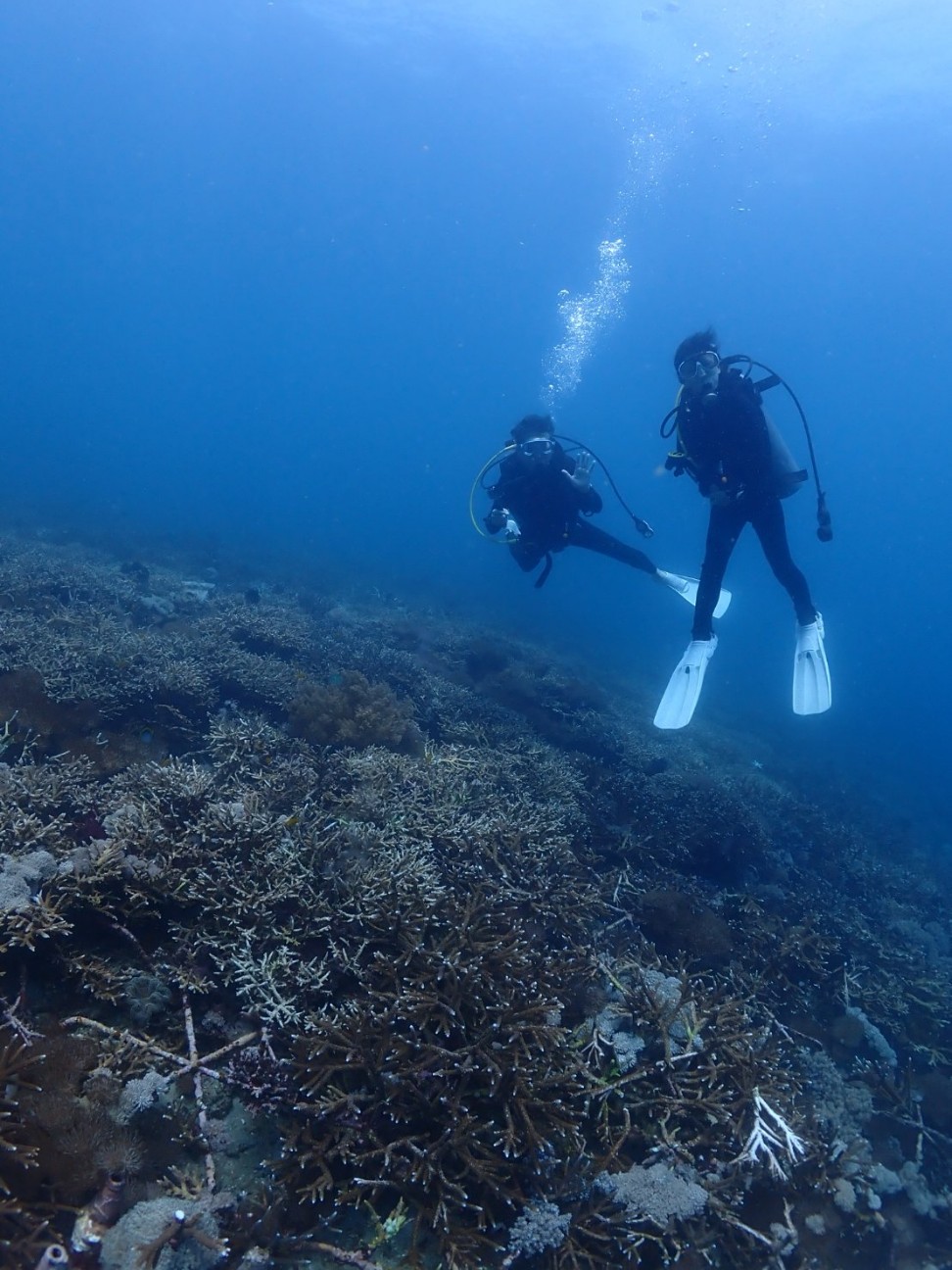 f:id:himarine:20260116222547j:image