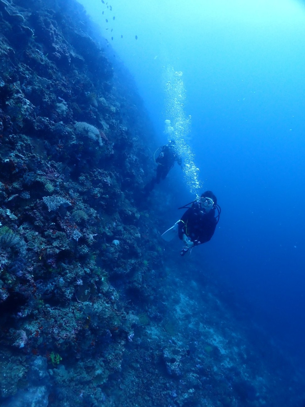 f:id:himarine:20260117230155j:image