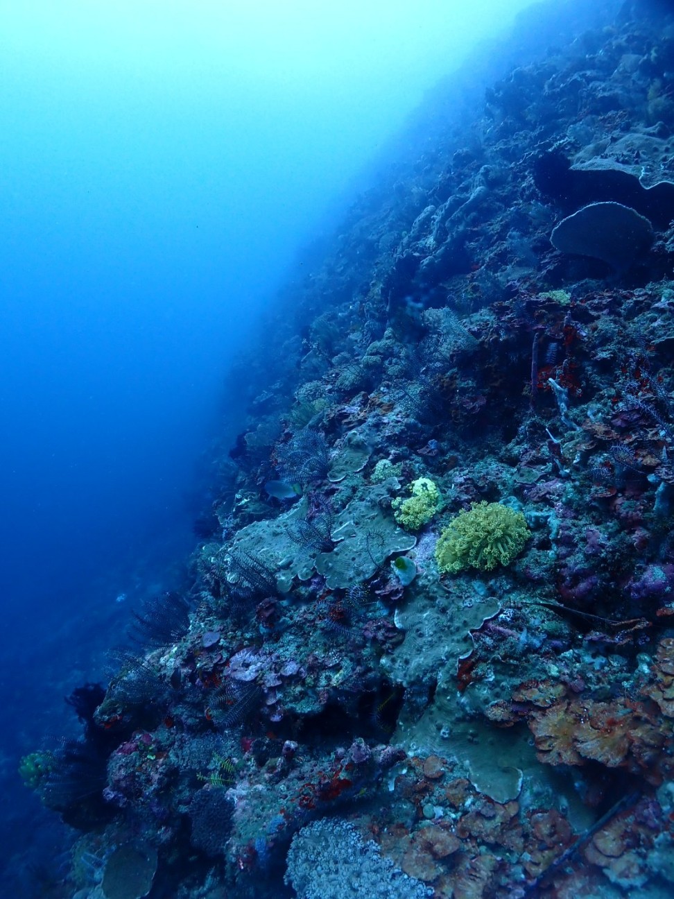 f:id:himarine:20260117230213j:image