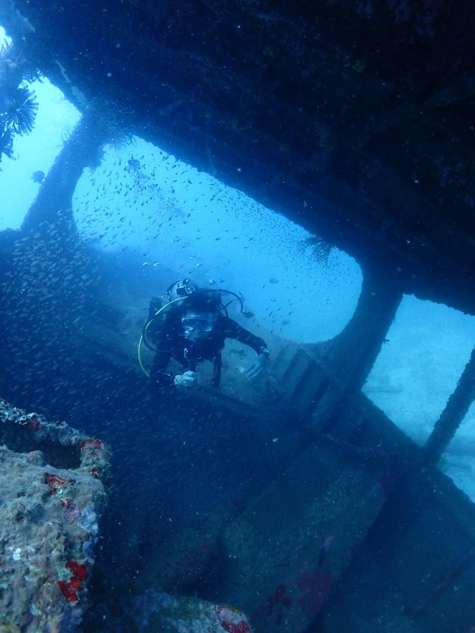 f:id:himarine:20260117230401j:image