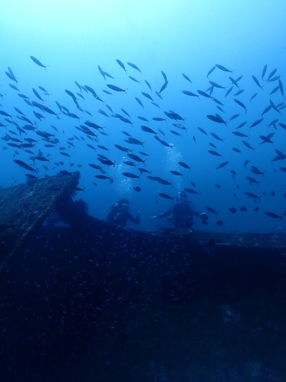 f:id:himarine:20260117230413j:image