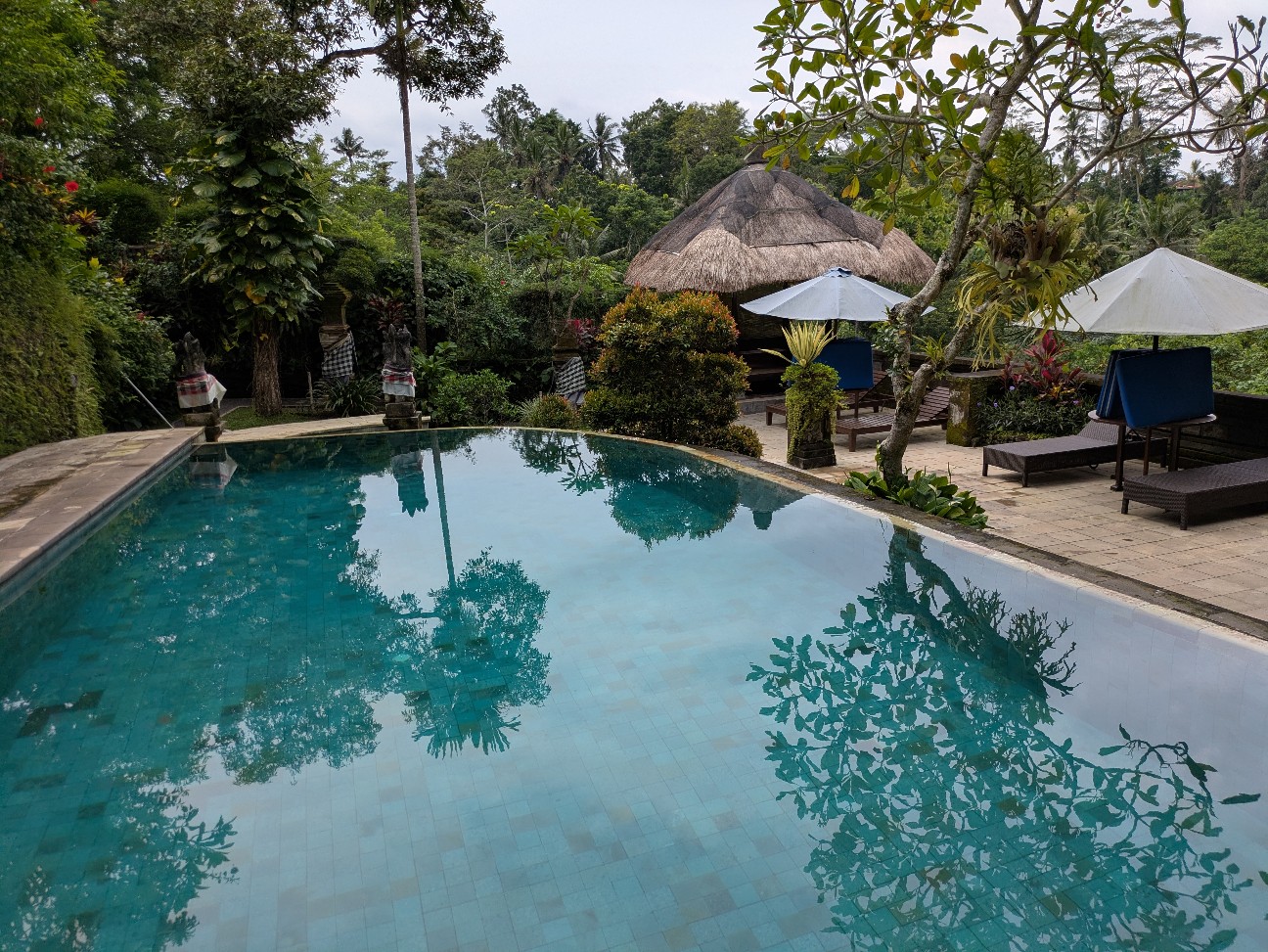 f:id:himarine:20260118213114j:image