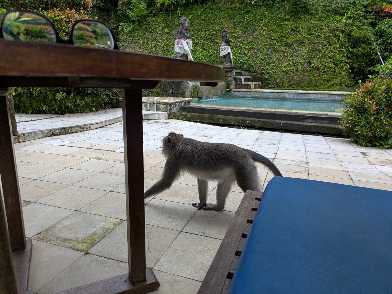 f:id:himarine:20260118213137j:image