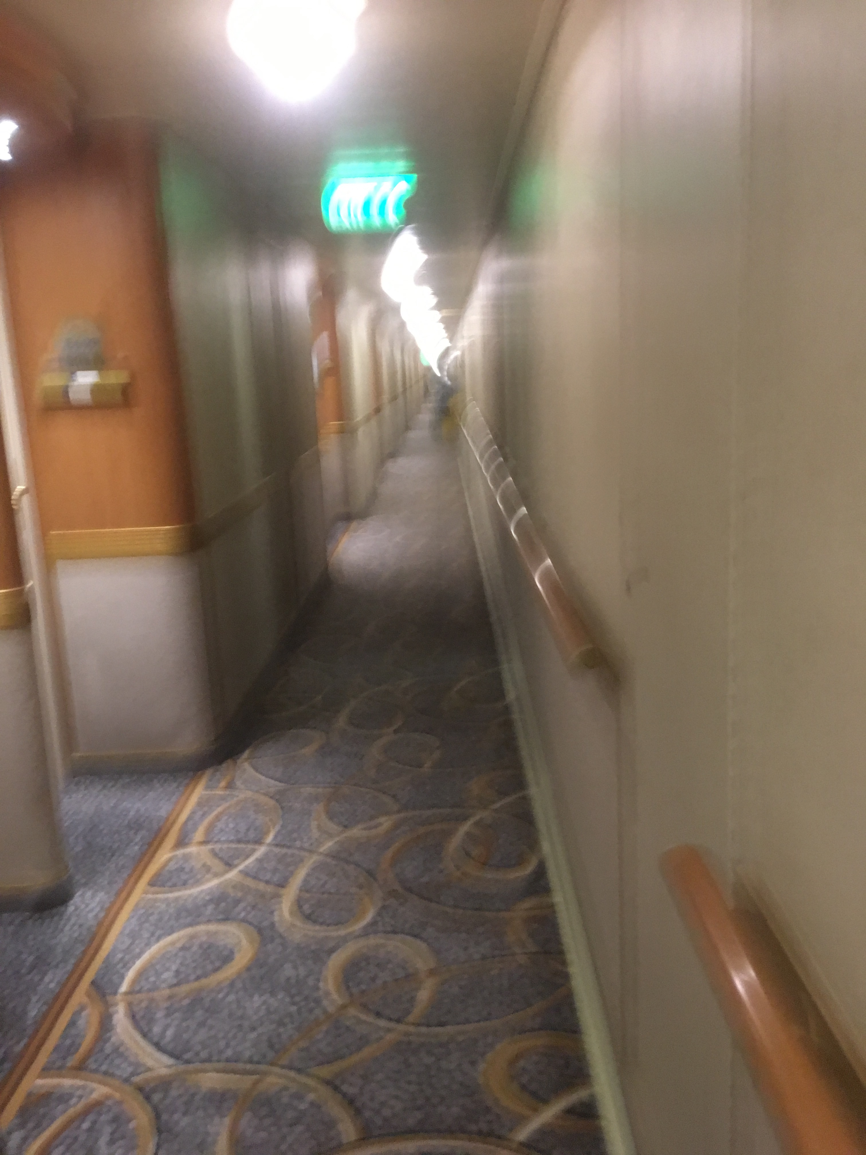 f:id:himasou:20190319184300j:image f:id:himasou:20190319184300j:image