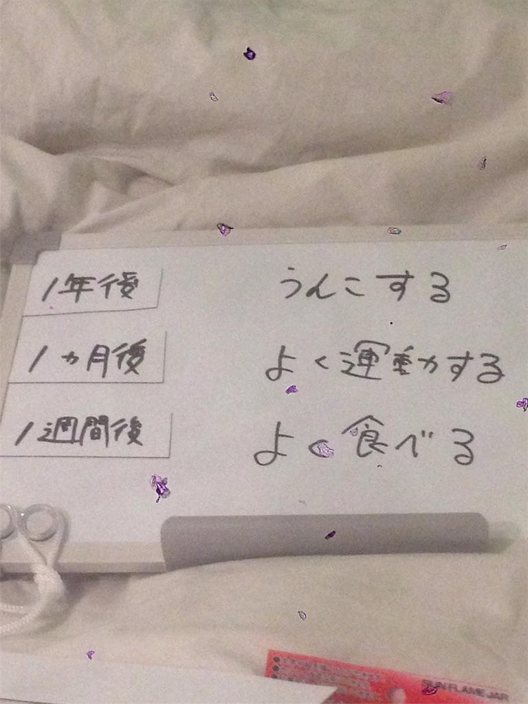 f:id:himatubuse:20170503211620j:image