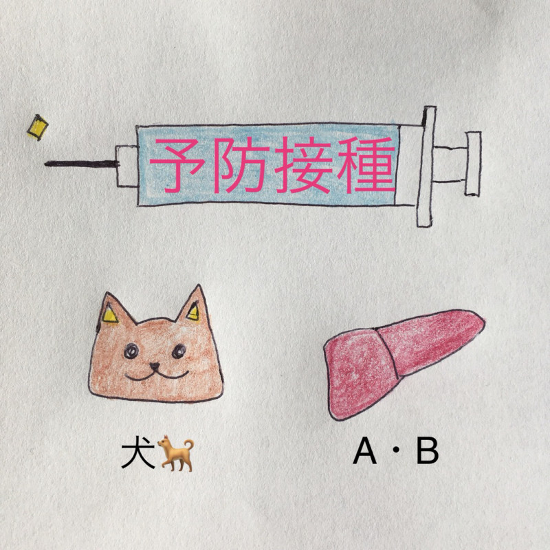 f:id:himawari-boo:20190113203645j:plain f:id:himawari-boo:20190113203645j:plain