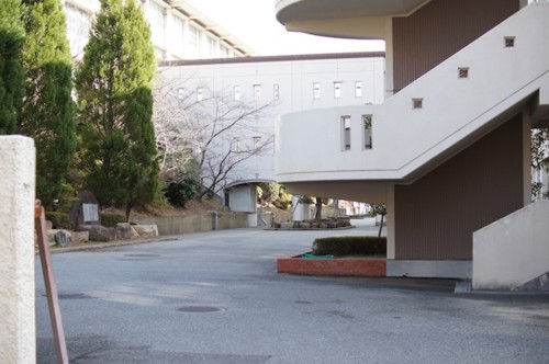 f:id:himawari-c:20110102113149j:image f:id:himawari-c:20110102113149j:image