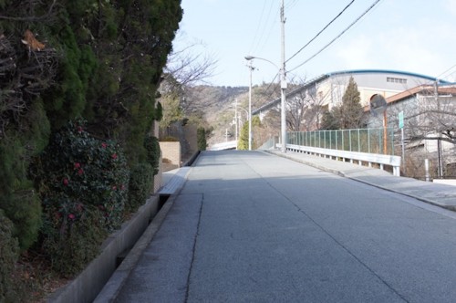 f:id:himawari-c:20110102113951j:image f:id:himawari-c:20110102113951j:image