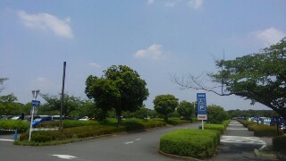 f:id:himawari0growing:20170708111231j:image f:id:himawari0growing:20170708111231j:image