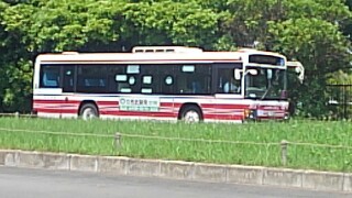 f:id:himawari0growing:20170708112325j:image f:id:himawari0growing:20170708112325j:image
