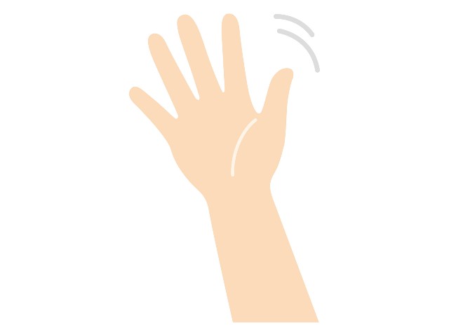 f:id:himawari0growing:20241010231837j:image