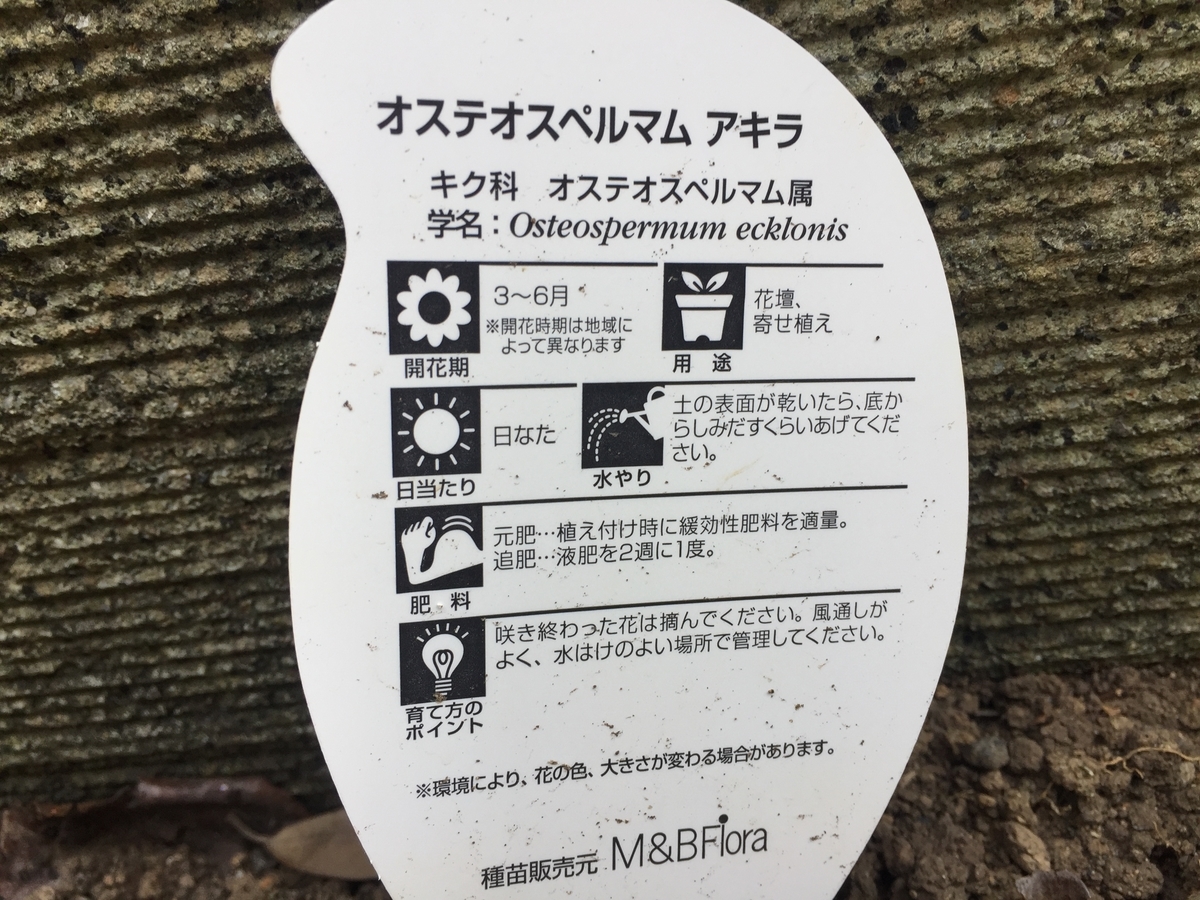 f:id:himawari1103:20200220124630j:plain f:id:himawari1103:20200220124630j:plain