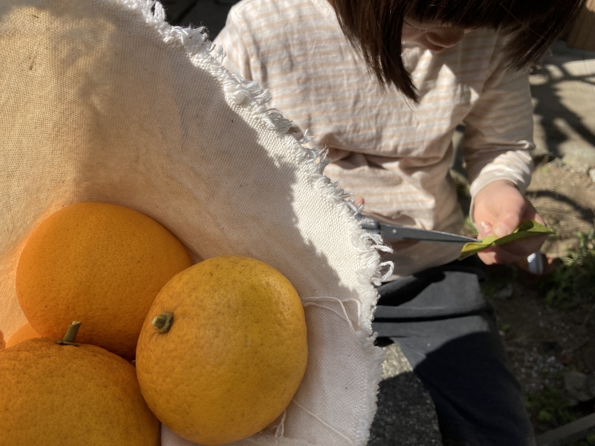 f:id:himawari1103:20220207214038j:plain