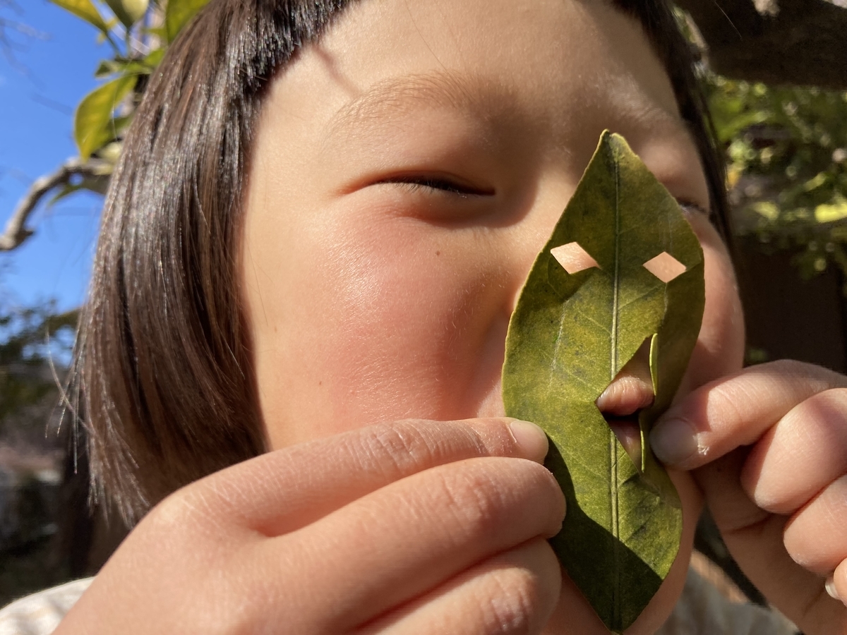 f:id:himawari1103:20220207214041j:plain