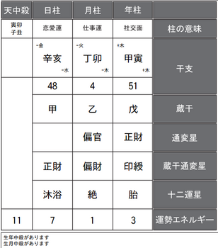 奥山佳恵さんの四柱推命鑑定書