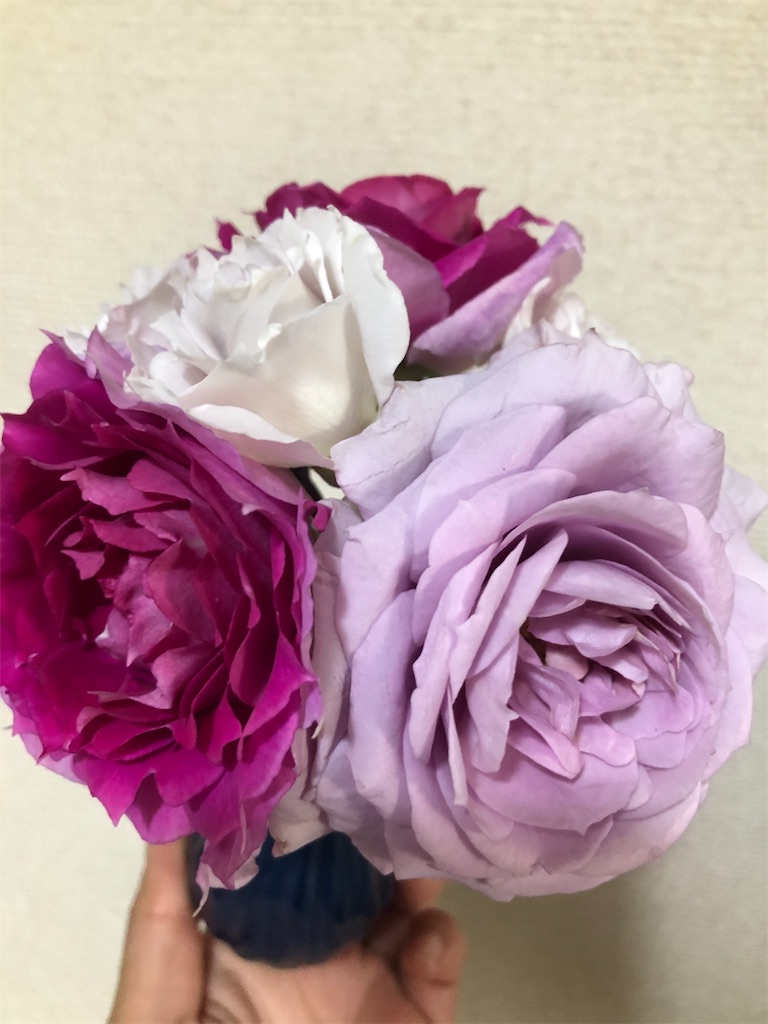 f:id:himawari2016:20210511124522j:image