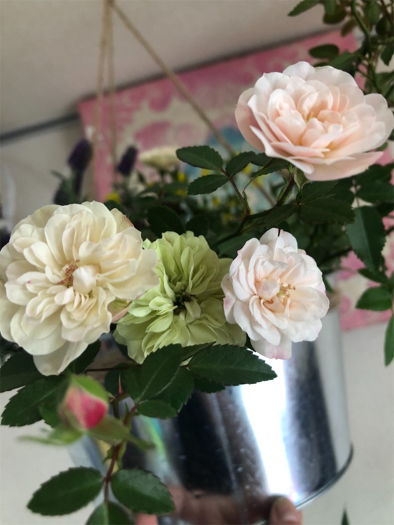 f:id:himawari2016:20210511133042j:image