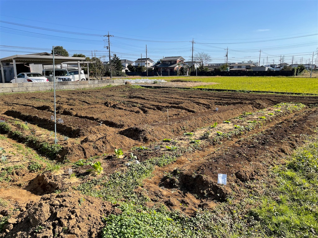 f:id:himawari2016:20211103220702j:image