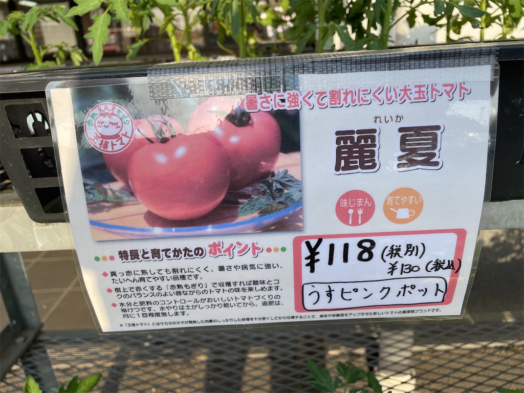 f:id:himawari2016:20220419131445j:image f:id:himawari2016:20220419131445j:image