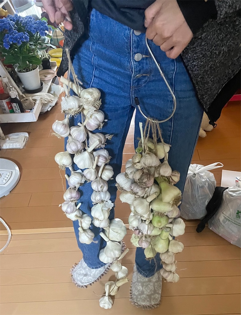 f:id:himawari2016:20220607122123j:image