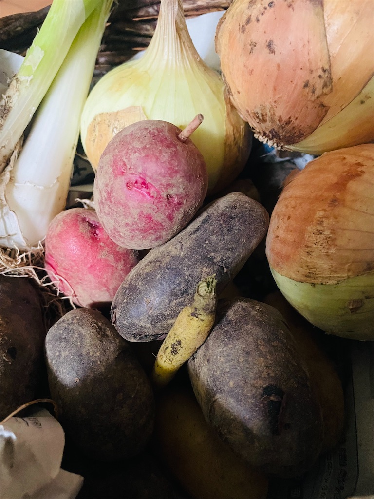 f:id:himawari2016:20220607123953j:image