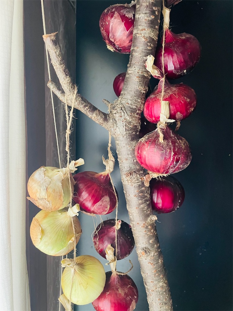 f:id:himawari2016:20220607124137j:image