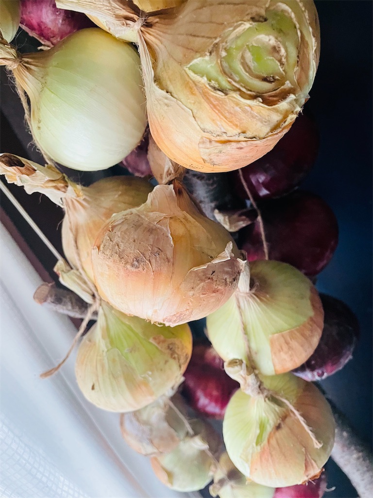 f:id:himawari2016:20220607124142j:image