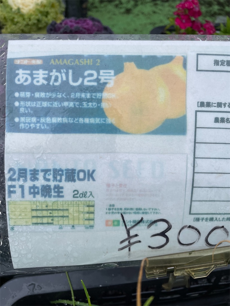 f:id:himawari2016:20220607124510j:image