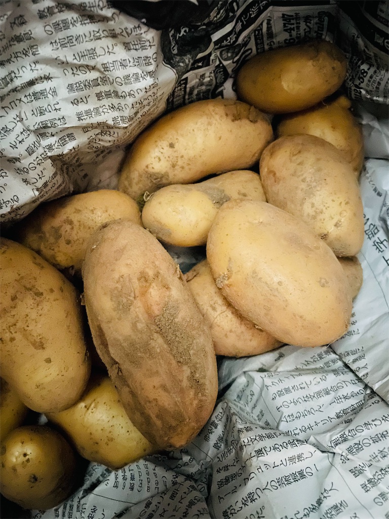 f:id:himawari2016:20220607124921j:image