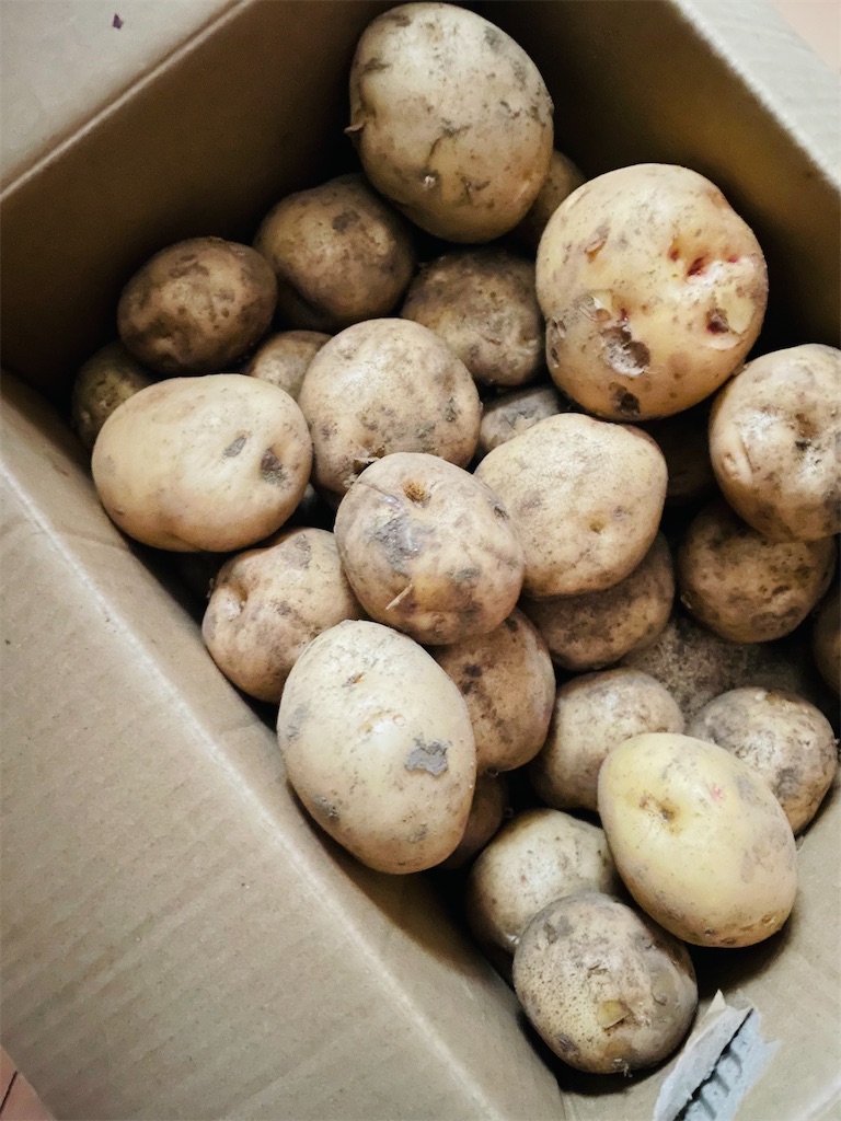 f:id:himawari2016:20220607124924j:image