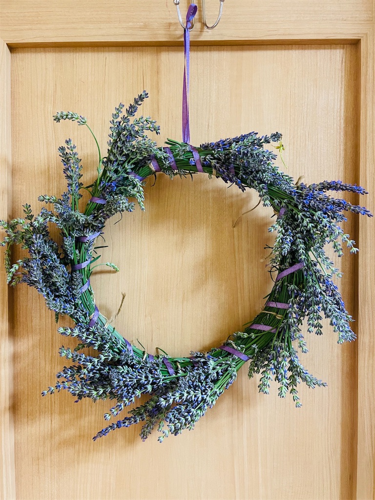 f:id:himawari2016:20220623133838j:image