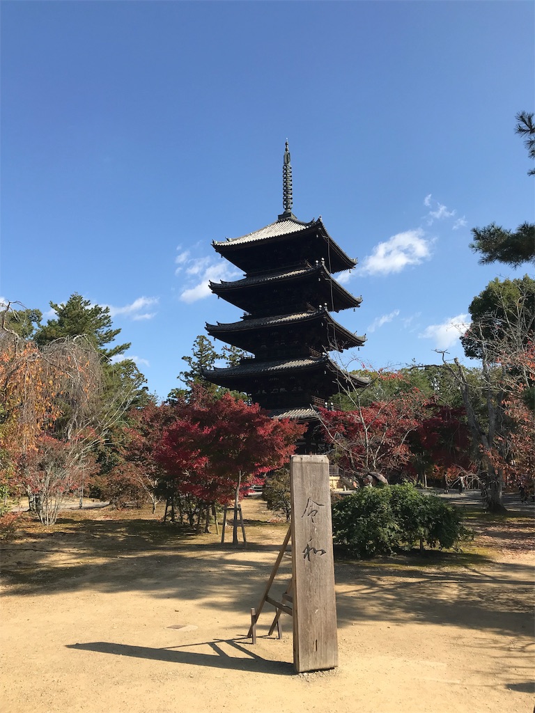 f:id:himawari21k:20191118232429j:image f:id:himawari21k:20191118232429j:image