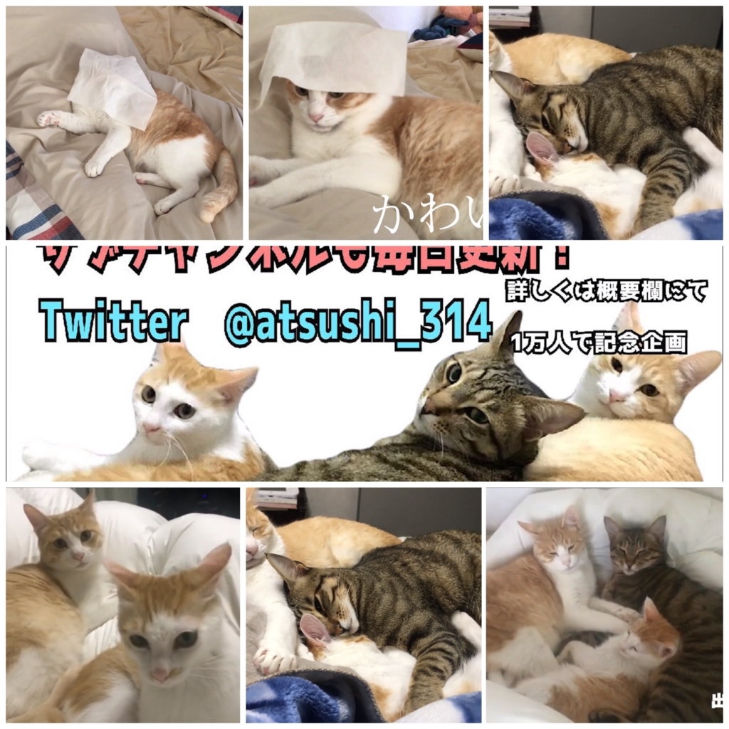 f:id:himawari928:20170803054216j:plain f:id:himawari928:20170803054216j:plain