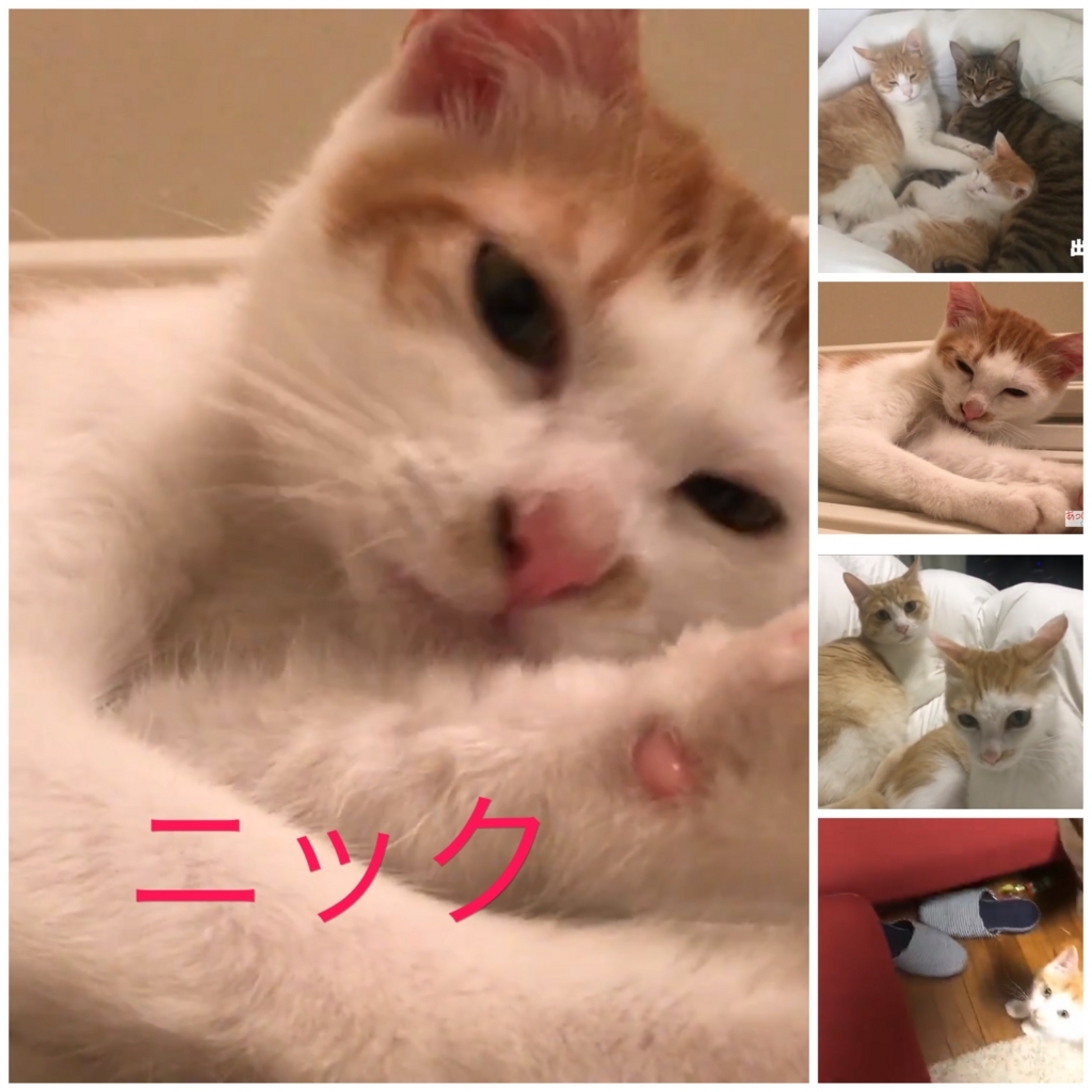 f:id:himawari928:20170803054833j:plain f:id:himawari928:20170803054833j:plain