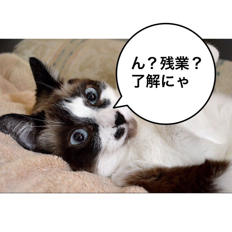 f:id:himawari928:20170910005556j:plain f:id:himawari928:20170910005556j:plain