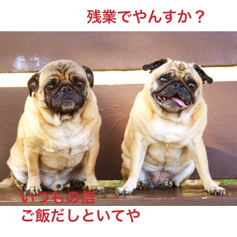 f:id:himawari928:20170910005627j:plain f:id:himawari928:20170910005627j:plain