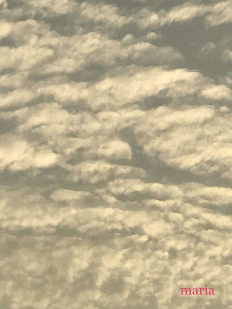 f:id:himawari928:20170910195444j:plain