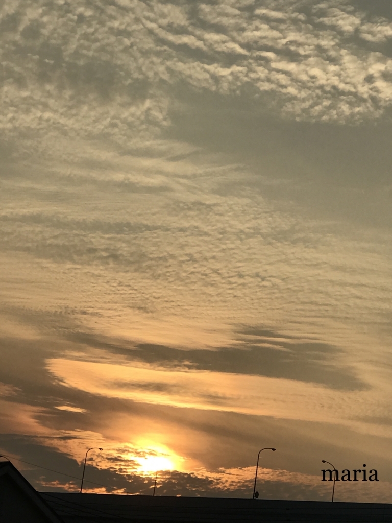 f:id:himawari928:20170910195510j:plain