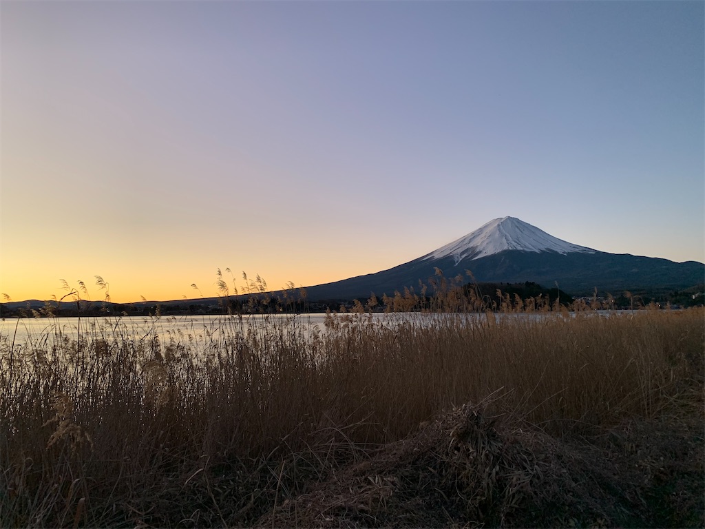 f:id:himawaridental:20220219215902j:image
