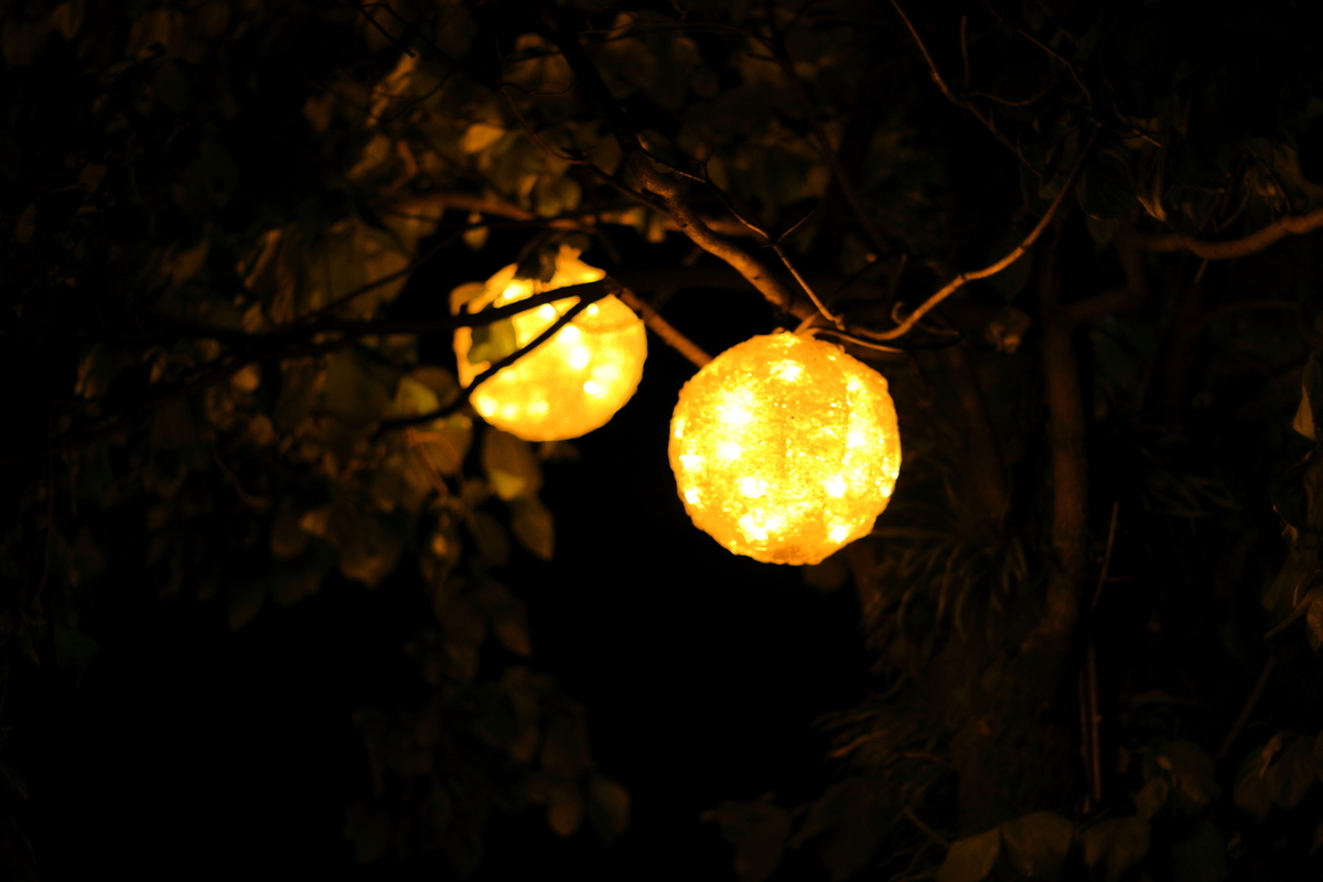 f:id:himazintteiiyone:20200801021452j:plain