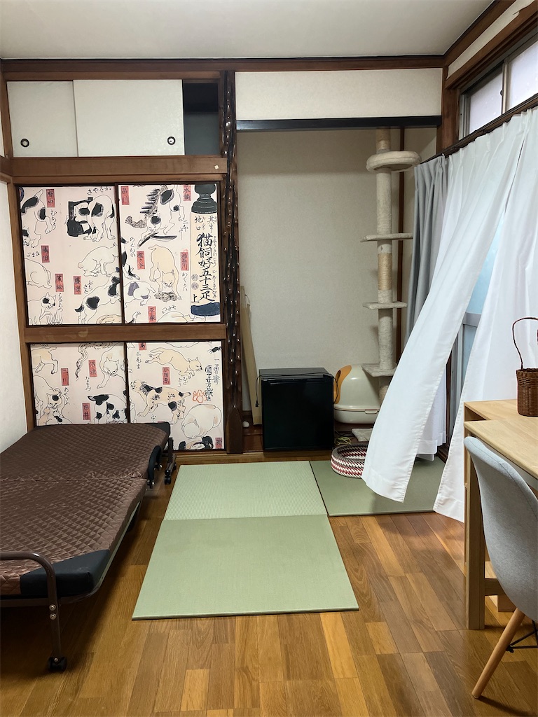 f:id:hime0802eeeriko:20250712074246j:image