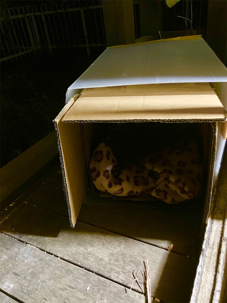 f:id:hime0802eeeriko:20260121065716j:image f:id:hime0802eeeriko:20260121065716j:image