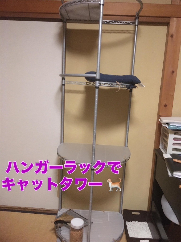 f:id:hime0802eeeriko:20260610051326j:image