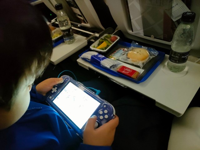 f:id:himedegozai:20230520020113j:image