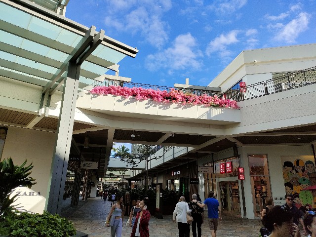 f:id:himedegozai:20230520020753j:image