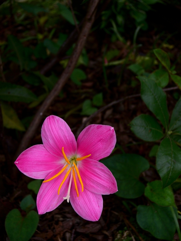 2010-06-27