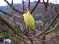 2012-04-07-03