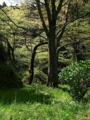 2012-04-28-02