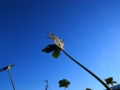 2012-12-20