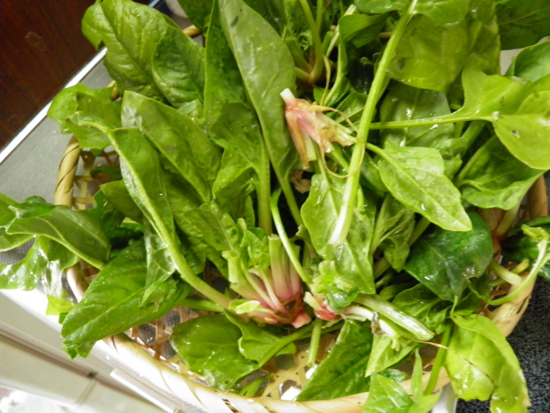 f:id:himegozenn:20120206113828j:image:w360 f:id:himegozenn:20120206113828j:image:w360